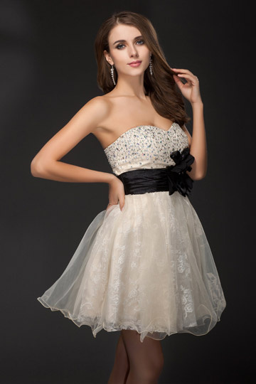 Robe de bal/de cocktail Ligne A bustier appliquée en organza avec applique