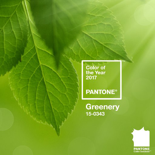 pantone-couleur-vert-greenery-pour-2017